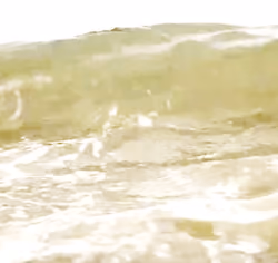 Waves and Seas #teamseas
