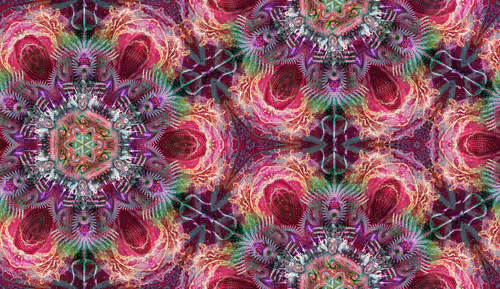 Item #63840338084273973421502504129764597504412767775251696444338063353842552012900 Media