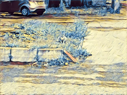 Item #46397680814911453718365897270123246439130732684861044295736256064920504762369 Media