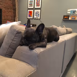 99031261785432219130552668818269695456905868997165113515571762475381882355713