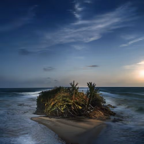 Item #29944342553246244514538317618467859415353478294903514238904970305193866428417 Media