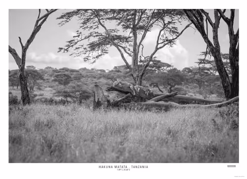 Item #14498336299239483503881613585431548073897809246895926655081836984691578634241 Media