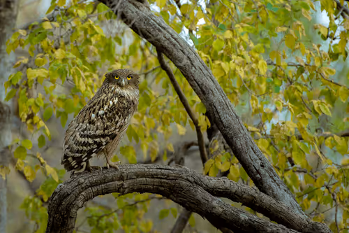 Item #61684684013370051227163866082320023750896296023852719411798081179798497919126 Media