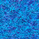 37671797252818830032645010018488858802778721291022166209366081453165046136833