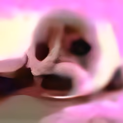 Seal 18
