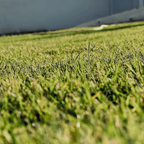 Item #81264116293153196622242170516839975314280504083087949040998467019742421975041 Media