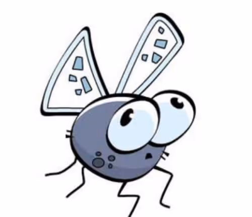 Item #74053741187816168410961867838096218930929461401611507717933416666608265330689 Media