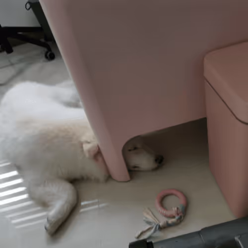 Item #11589634007344310346073007191394288969191527375593807410073591602715494973441 Media