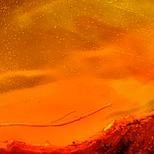 Item #8251270981130702250905355697814279819197198943221984468281115000864925286401 Media