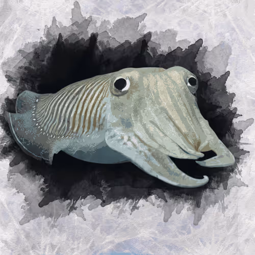 Item #108829080069432666427413762901192148077907568328307962474054884611226546995207 Media