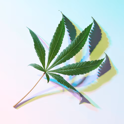 Item #7029275761856656670262206624441722279086749125334094416383120156227327229953 Media