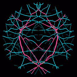 7078802064077755305879053961196844759257248211509687953083586757712553181185