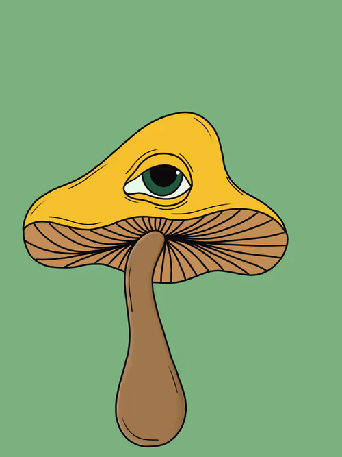 Item #46882009080235521998465650117471577430659606879218658620080168244870060703745 Media