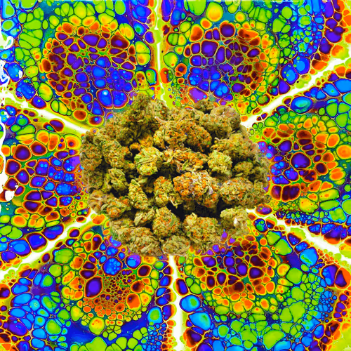 Item #13955282856406335165414100891374623718709547313428947888299033979146555359237 Media