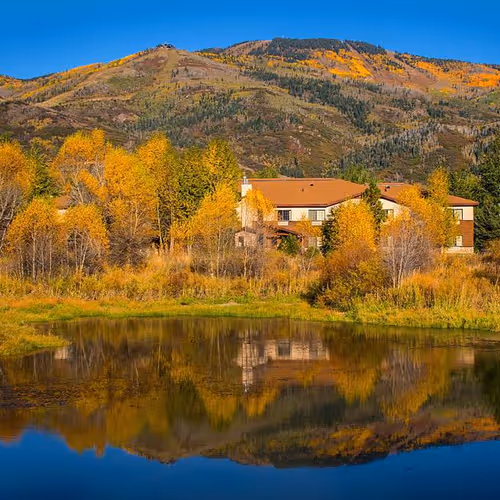 Item #44709480693160417701152031466761867258351074556435739886014108954246640566273 Media