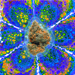 13955282856406335165414100891374623718709547313428947888299034009932880936962