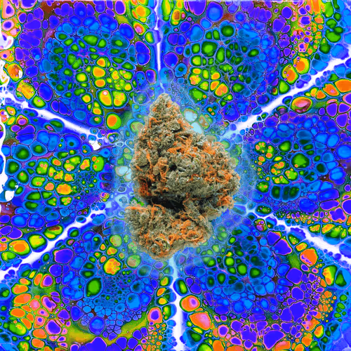 Item #13955282856406335165414100891374623718709547313428947888299034009932880936962 Media