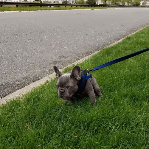 99031261785432219130552668818269695456905868997165113515571762340141952139265