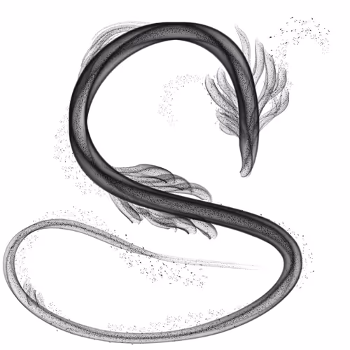 Item #79922358363691255321444568387952983801156131754257850446438884498219573706753 Media