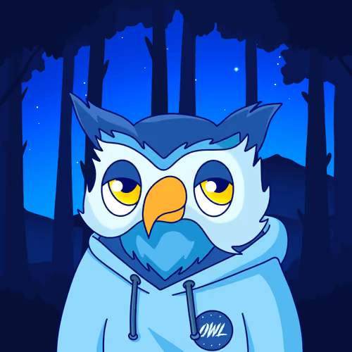 Owl #10