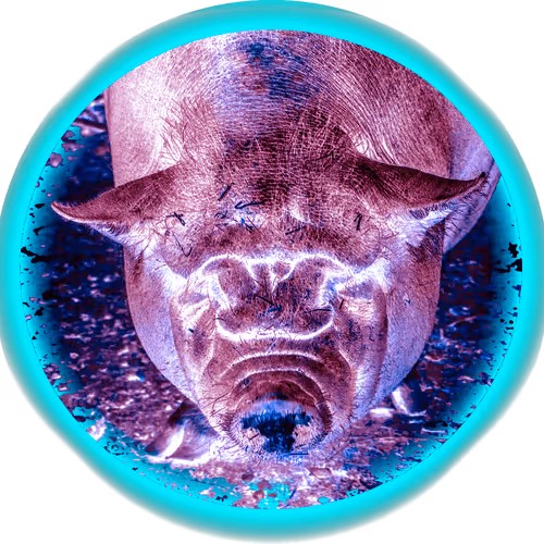 Item #107530905304618675302548739526775943268479217550682915829596196246008010637317 Media