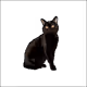 7917608709568526609042417006664391966594597627541652161018316715235523690497