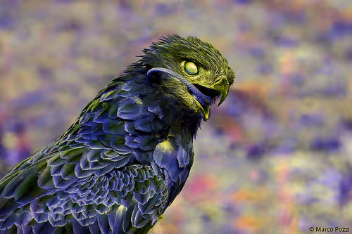 Item #115232870370577477461581822624034906619609473501276366319453953478517032222721 Media