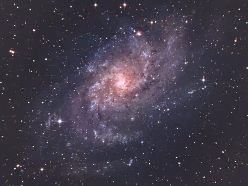 Item #19426014595792799413298141644117656370530176021374212656739297930670591967233 Media