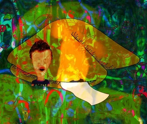 Item #56177743258238353915692039261457950691196406802314425732675602691628214517765 Media