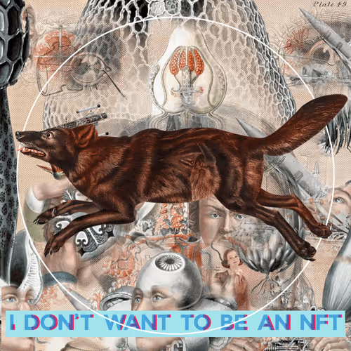 Item #3530187889540553224700552633621350802399192504372702264799301454736616587265 Media