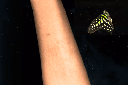 Item #109162157552346088047496633038404394118504199992061596446112929362138105905153 Media