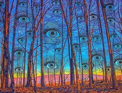 Untitled Collection #194588421