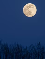 TO THE MOON