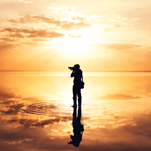 Item #85223993050076982606488361142318106112065178621843524715377493161282977661028 Media