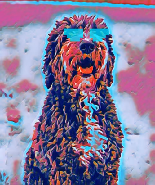 Item #101928019732383974669137877841283249648531578472250666713637593158511518285825 Media