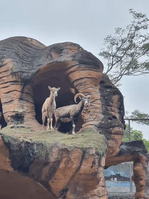 Item #83958100256980711035398363150481960541013843163520717239348696213398470262785 Media