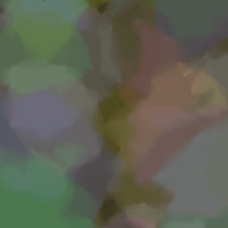 Divided Sky