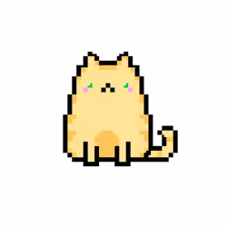 NFTCAT#05