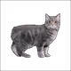 7917608709568526609042417006664391966594597627541652161018316730628686479361