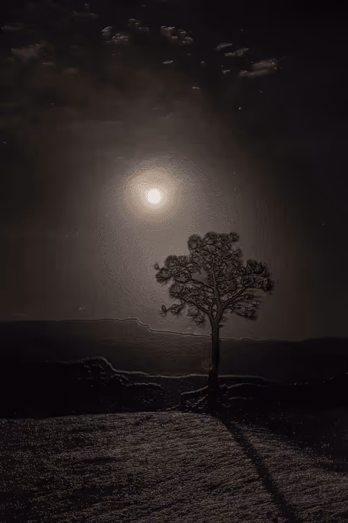 Item #52655132106615007427639537052126499358755561016261279021780266142912938508289 Media