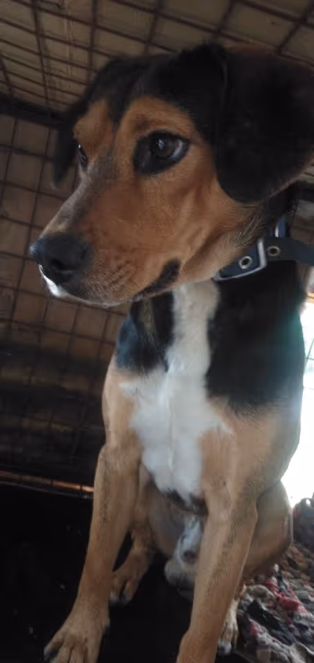 Item #23439807421783349604606688817165201350165750151979961366033252216108107169793 Media