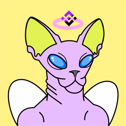 Crypto Sphinx Cat #50