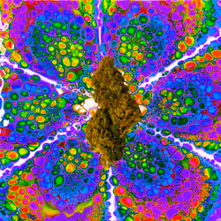 13955282856406335165414100891374623718709547313428947888299033969250950709253