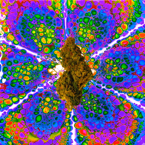 Item #13955282856406335165414100891374623718709547313428947888299033969250950709253 Media