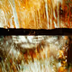 46677297122039031221449977847173365421667821442589389250428357142803480838145