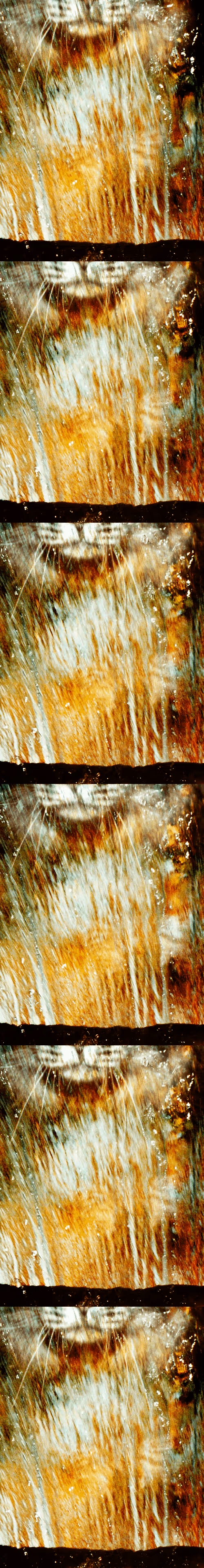 Item #46677297122039031221449977847173365421667821442589389250428357142803480838145 Media