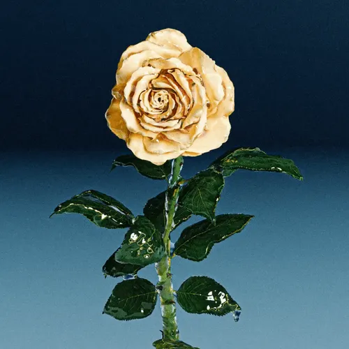 Item #91236794620621986641627806397936663631219965182240997565564980292156890546595 Media