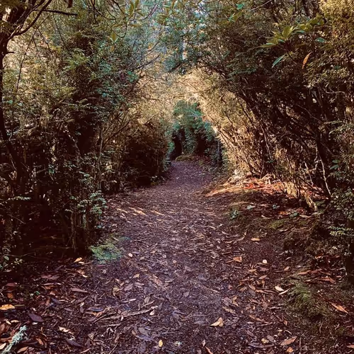 2005862319158051831365229387864138466486092287762213337058068752714375888897