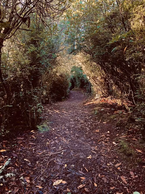 Item #2005862319158051831365229387864138466486092287762213337058068752714375888897 Media