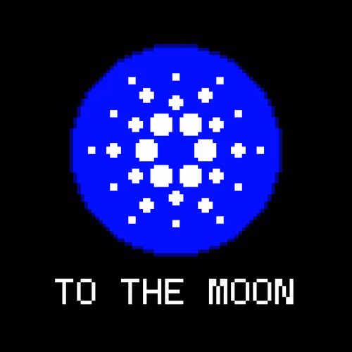 Item #6621892573156087799147021451546064151813702132465368960172048608905895346177 Media